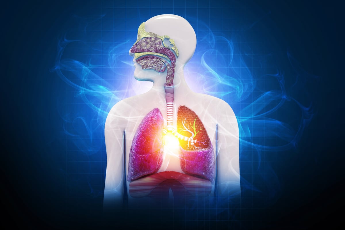 Chronic obstructive pulmonary disease, respiratory diseases, medical illustration.