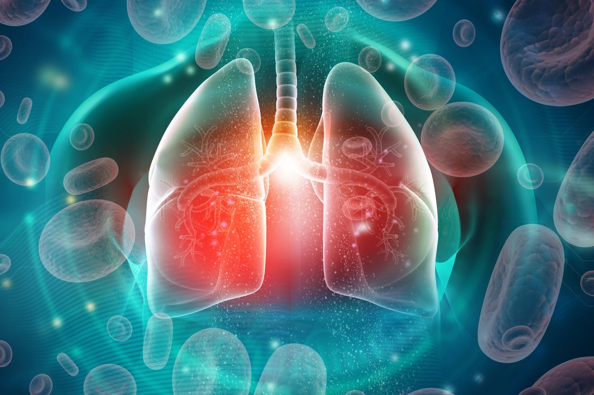 Ilustración del sistema respiratorio para análisis clínico.